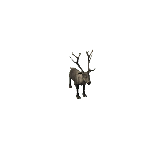 Reindeer_IP_FV_SLP (Fur)